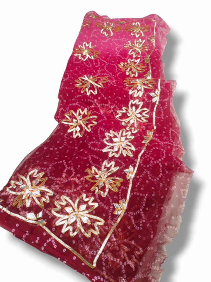 hr kaccha gota work border 