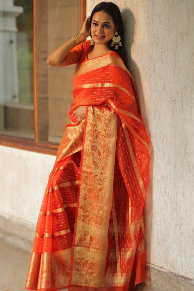 HANDLOOM PLUS Banarasi Organza Mix Saree with Stripes Design and Broad Boarder