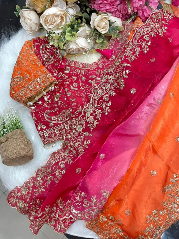 Fendy Sartin Embroidery Sequence Work Saree with Heavy Border and Stitched Blouse