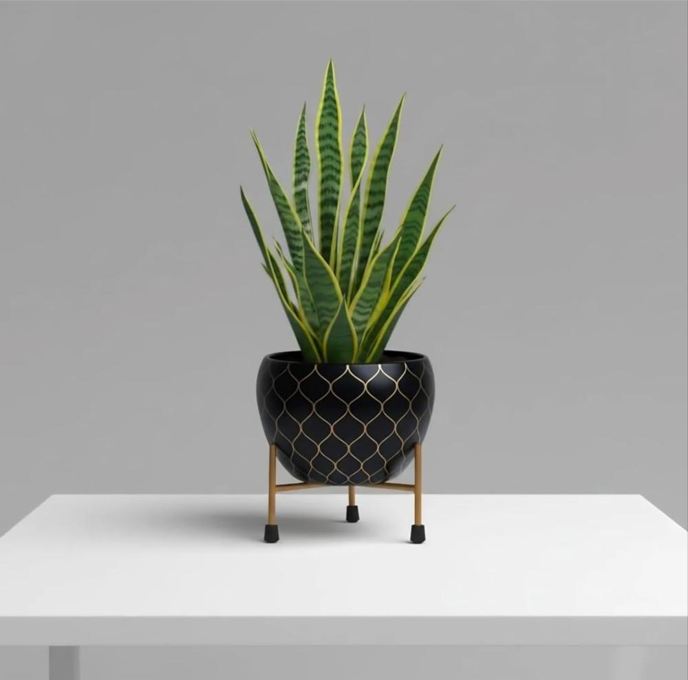 Black Geometric Pot with Gold Metal Stand 