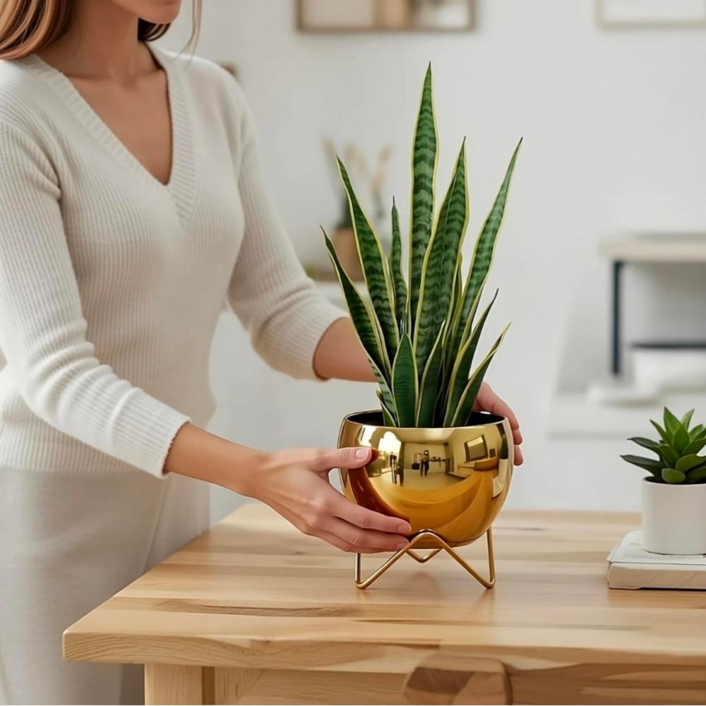 Decorative Gold Metallic Pot with Metal Stand for Home