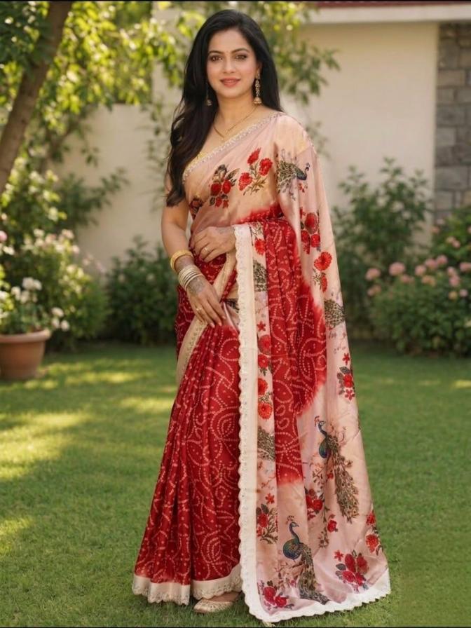 Chinnon Saree with Heavy Peacock and Stone Work, Swarovski Stone!