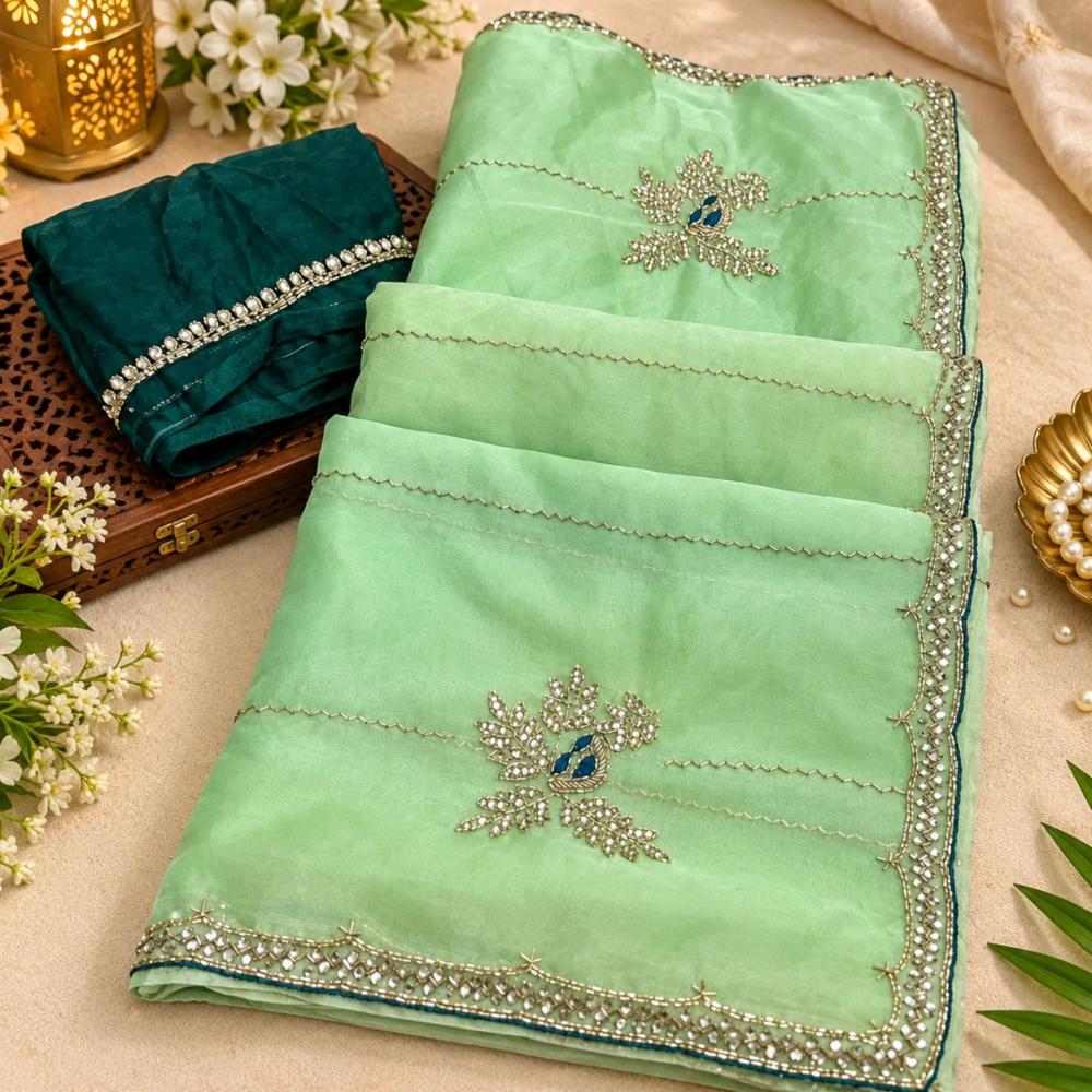 Organza Handwork Jaal Saree with Contrast Blouse