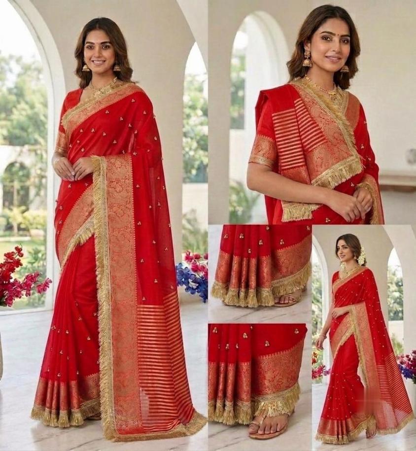 Pure Soft Nylon Organza Saree with Jacquard Border and Hand Work Ghungroo
