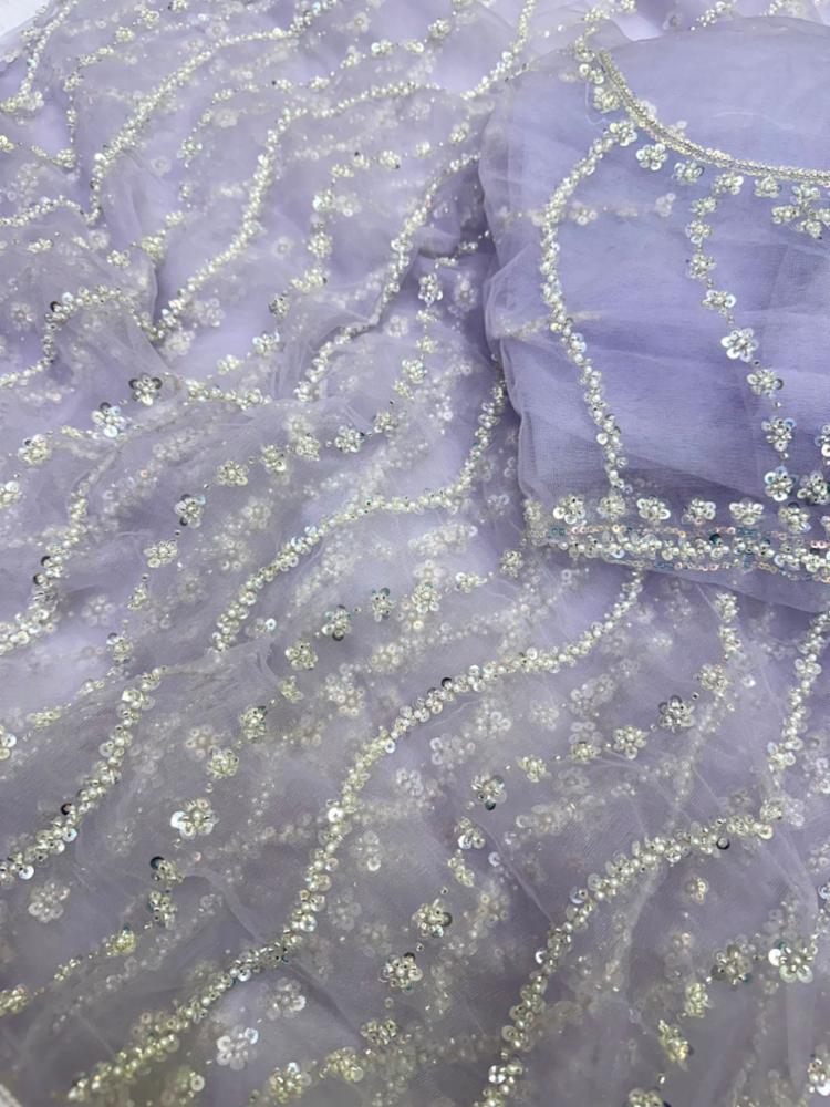 Soft Net Saree with Beads and Moti Lace Border
