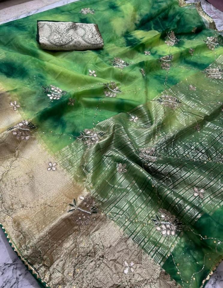 Organza Fabric Saree with Shibori Dye and Handwork